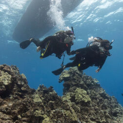 Discover Scuba Diving